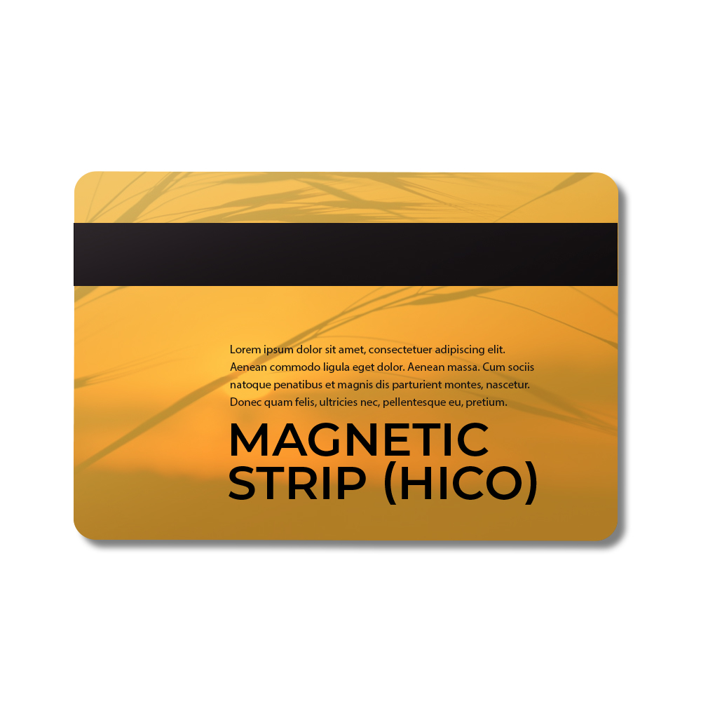 Magnetic Strip  MC